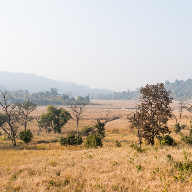 Rajaji National Park